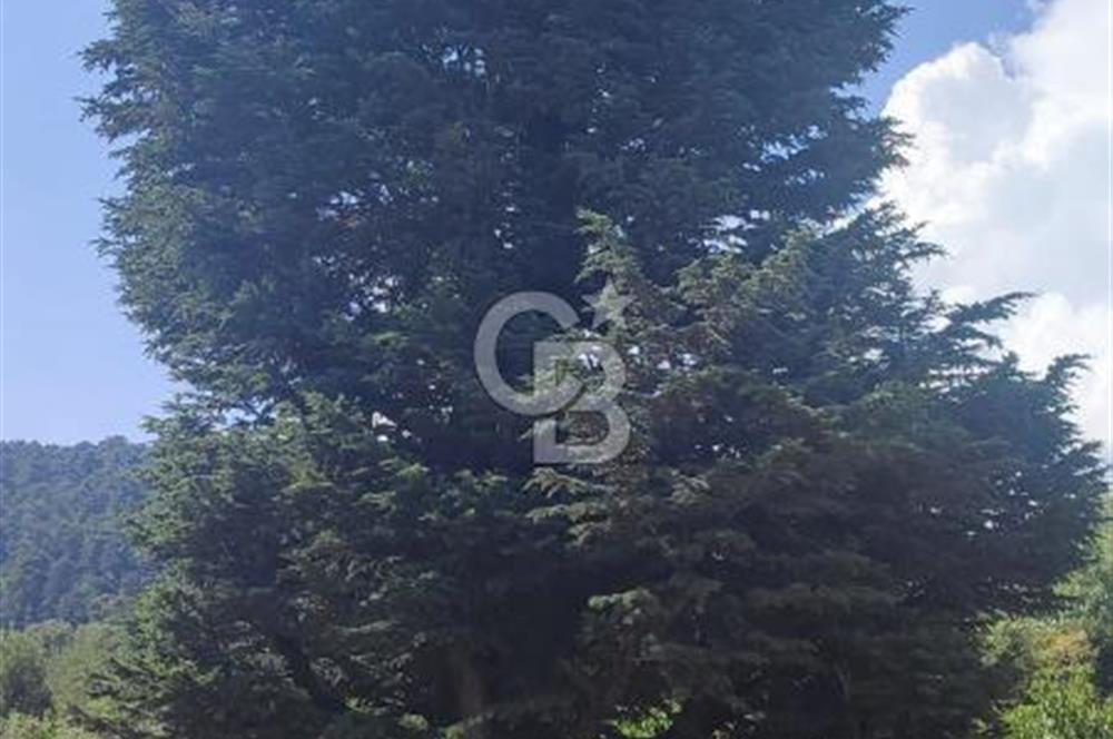 ANTALYA KAŞ GÖMÜCE SATILIK MÜSTAKİL EV VE TARLA
