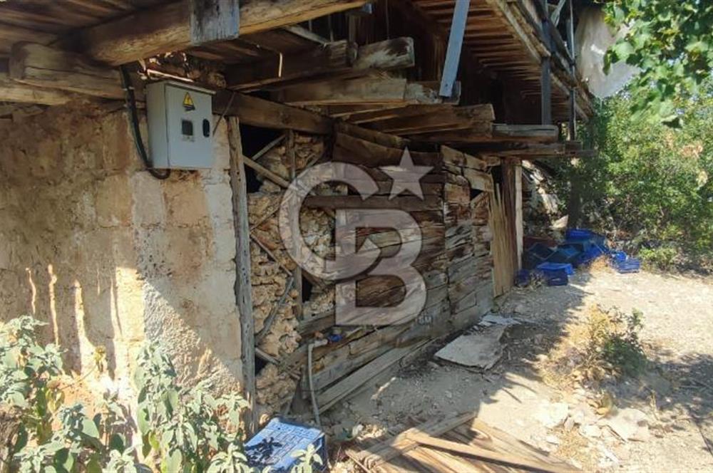 ANTALYA KAŞ GÖMÜCE SATILIK MÜSTAKİL EV VE TARLA