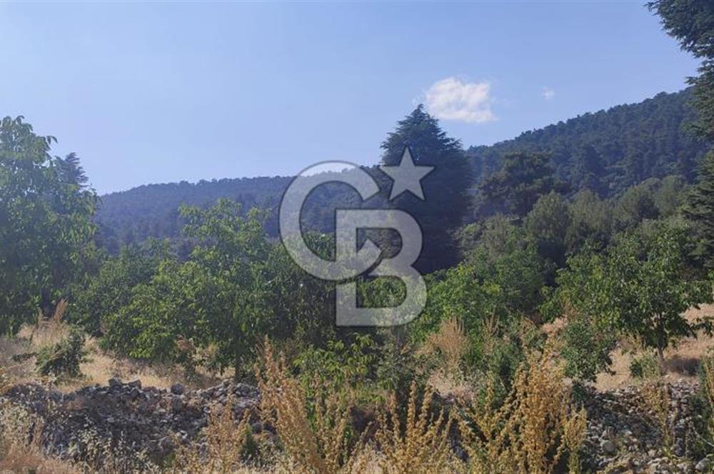 ANTALYA KAŞ GÖMÜCE SATILIK MÜSTAKİL EV VE TARLA