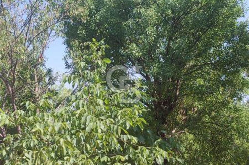 ANTALYA KAŞ GÖMÜCE SATILIK MÜSTAKİL EV VE TARLA