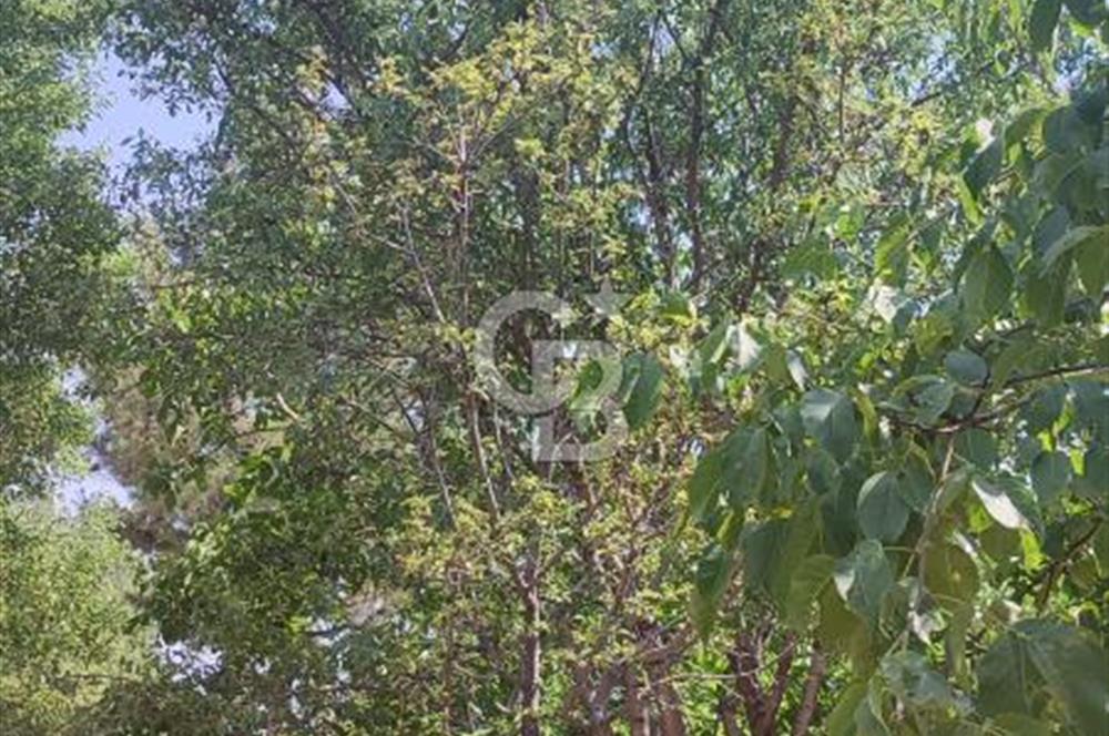 ANTALYA KAŞ GÖMÜCE SATILIK MÜSTAKİL EV VE TARLA