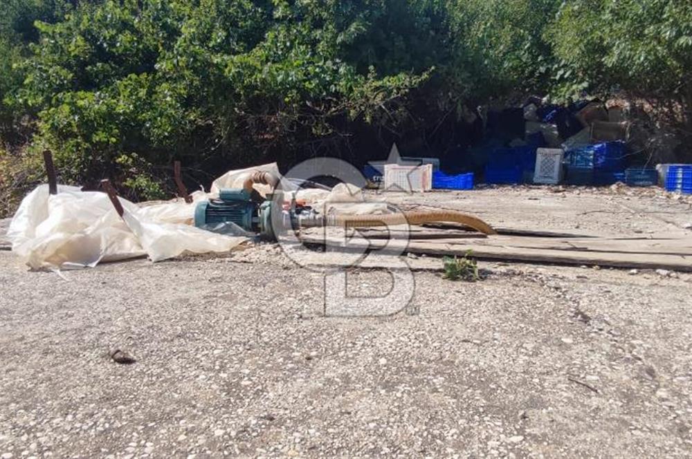 ANTALYA KAŞ GÖMÜCE SATILIK MÜSTAKİL EV VE TARLA