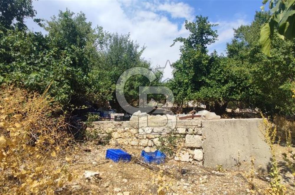 ANTALYA KAŞ GÖMÜCE SATILIK MÜSTAKİL EV VE TARLA