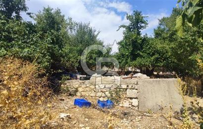 ANTALYA KAŞ GÖMÜCE SATILIK MÜSTAKİL EV VE TARLA