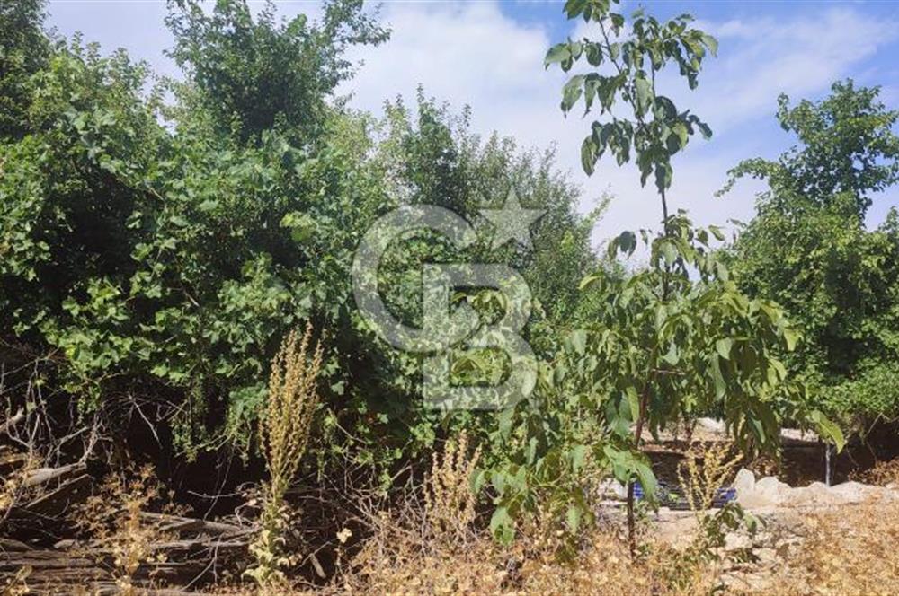 ANTALYA KAŞ GÖMÜCE SATILIK MÜSTAKİL EV VE TARLA