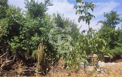 ANTALYA KAŞ GÖMÜCE SATILIK MÜSTAKİL EV VE TARLA