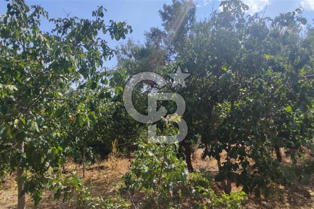 ANTALYA KAŞ GÖMÜCE SATILIK MÜSTAKİL EV VE TARLA