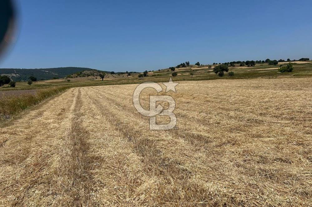 BALIKESİR BALYA HACIHÜSEYİN'DE SATILIK TARLA YATIRIM FIRSATI