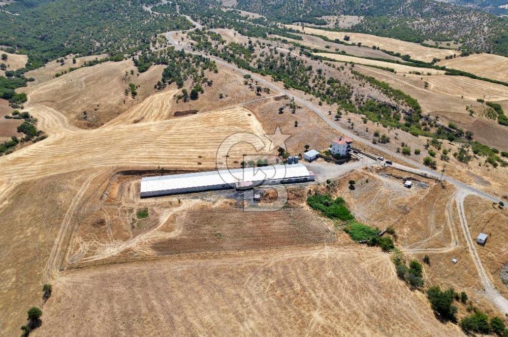 CB OPİA'DAN KURULU DÜZEN 2 PARSEL TAVUK ÇİFTLİĞİ