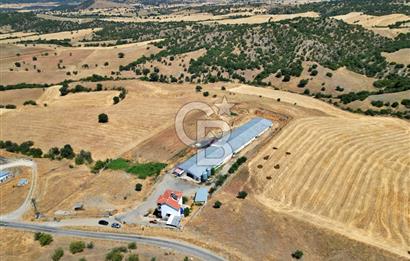 CB OPİA'DAN KURULU DÜZEN 2 PARSEL TAVUK ÇİFTLİĞİ