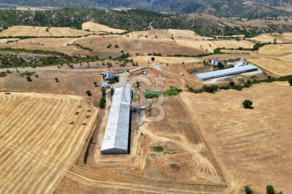 CB OPİA'DAN KURULU DÜZEN 2 PARSEL TAVUK ÇİFTLİĞİ