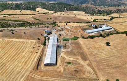 CB OPİA'DAN KURULU DÜZEN 2 PARSEL TAVUK ÇİFTLİĞİ