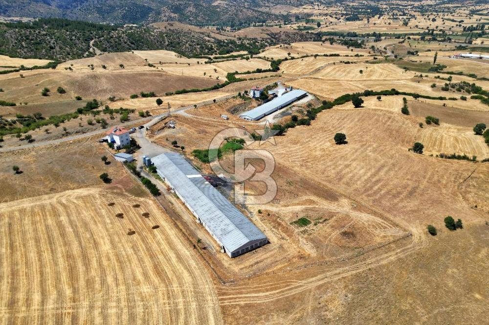 CB OPİA'DAN KURULU DÜZEN 2 PARSEL TAVUK ÇİFTLİĞİ
