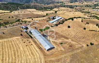 CB OPİA'DAN KURULU DÜZEN 2 PARSEL TAVUK ÇİFTLİĞİ