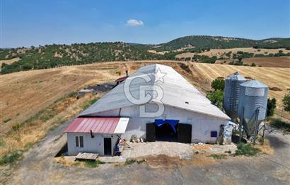 CB OPİA'DAN KURULU DÜZEN 2 PARSEL TAVUK ÇİFTLİĞİ
