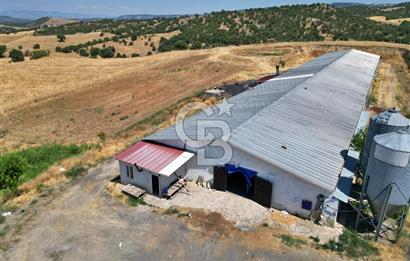 CB OPİA'DAN KURULU DÜZEN 2 PARSEL TAVUK ÇİFTLİĞİ