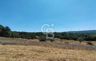 BURSA NİLÜFER UNÇUKURUNDA SATILIK TARLA