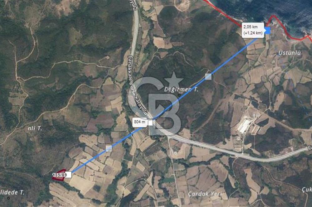 ÇANAKKALE LAPSEKİ GÜRECİ 5.666 m2 SATILIK TARLA