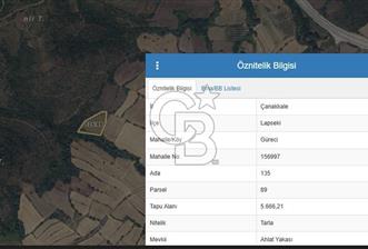ÇANAKKALE LAPSEKİ GÜRECİ 5.666 m2 SATILIK TARLA