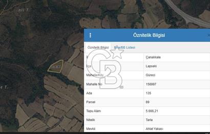 ÇANAKKALE LAPSEKİ GÜRECİ 5.666 m2 SATILIK TARLA