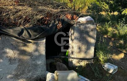 Kemalpaşa ,da Sincancılar 4429m2 Tek Tapu Satılık Tarla