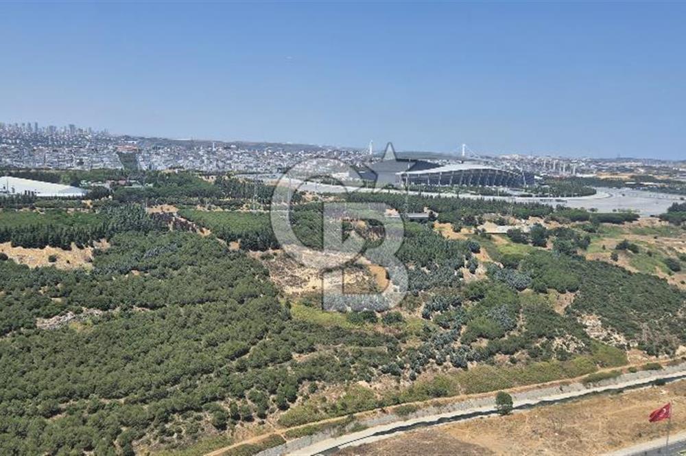 BAŞAKŞEHİR AĞAOĞLU MY WORLD EUROPE VADİ CEPHE SATILIK 3+1 DAİRE