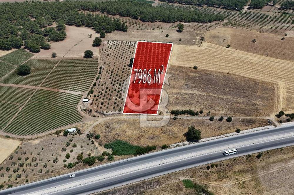 ÇANAKKALE AKÇAPINAR İZMİR ASFALTINA CEPHELİ SATILIK ZEYTİNLİK!