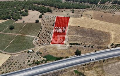 ÇANAKKALE AKÇAPINAR İZMİR ASFALTINA CEPHELİ SATILIK ZEYTİNLİK!