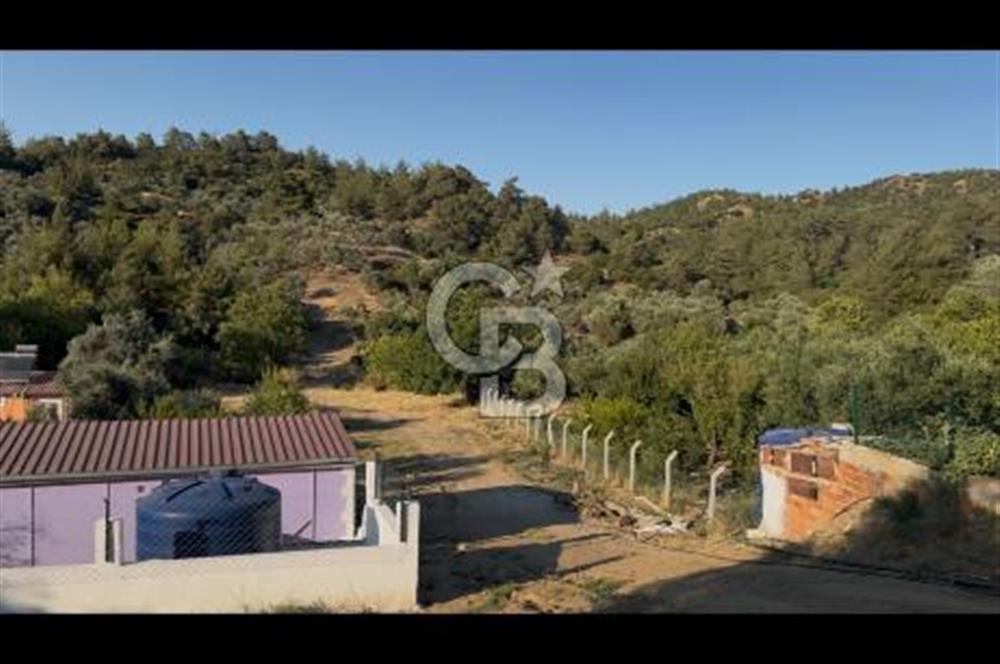Kemalpaşa ,da Sincancılar 4429m2 Tek Tapu Satılık Tarla