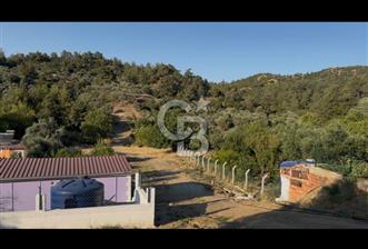 Kemalpaşa ,da Sincancılar 4429m2 Tek Tapu Satılık Tarla