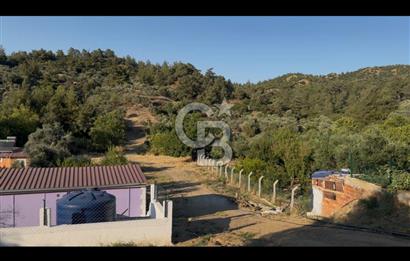 Kemalpaşa ,da Sincancılar 4429m2 Tek Tapu Satılık Tarla