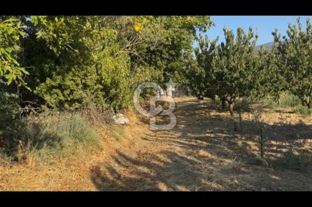 Kemalpaşa ,da Sincancılar 4429m2 Tek Tapu Satılık Tarla