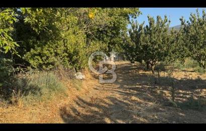 Kemalpaşa ,da Sincancılar 4429m2 Tek Tapu Satılık Tarla
