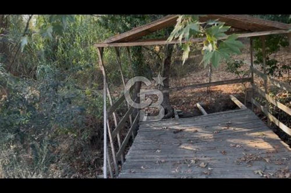Kemalpaşa ,da Sincancılar 4429m2 Tek Tapu Satılık Tarla