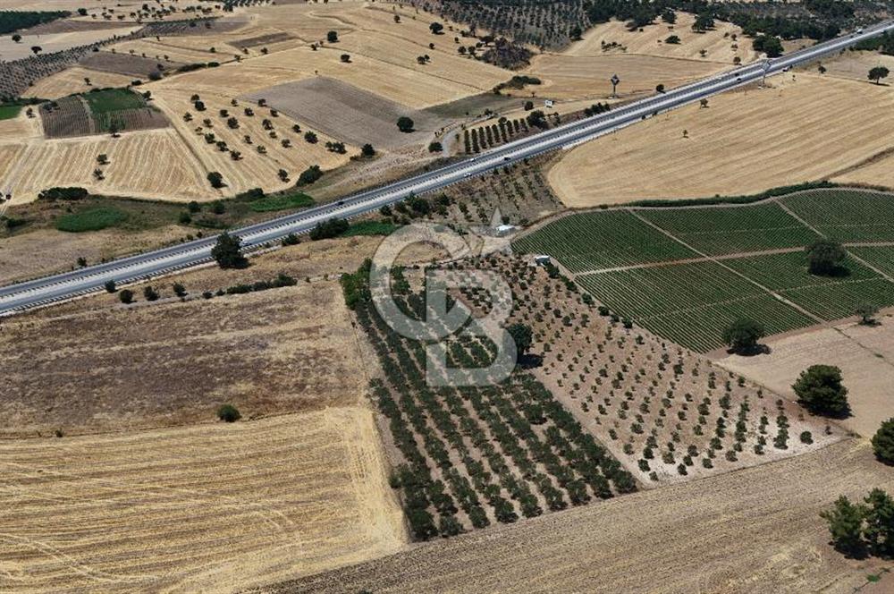 ÇANAKKALE AKÇAPINAR İZMİR ASFALTINA CEPHELİ SATILIK ZEYTİNLİK!