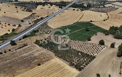 ÇANAKKALE AKÇAPINAR İZMİR ASFALTINA CEPHELİ SATILIK ZEYTİNLİK!