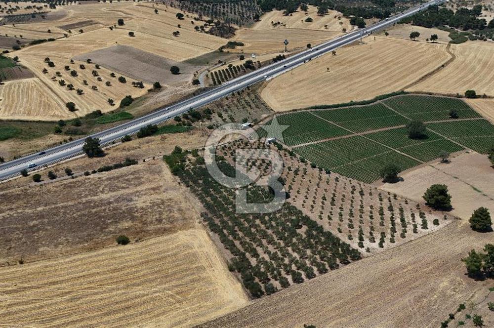 ÇANAKKALE AKÇAPINAR İZMİR ASFALTINA CEPHELİ SATILIK ZEYTİNLİK!