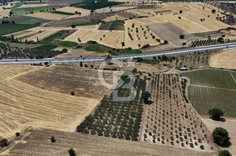 ÇANAKKALE AKÇAPINAR İZMİR ASFALTINA CEPHELİ SATILIK ZEYTİNLİK!