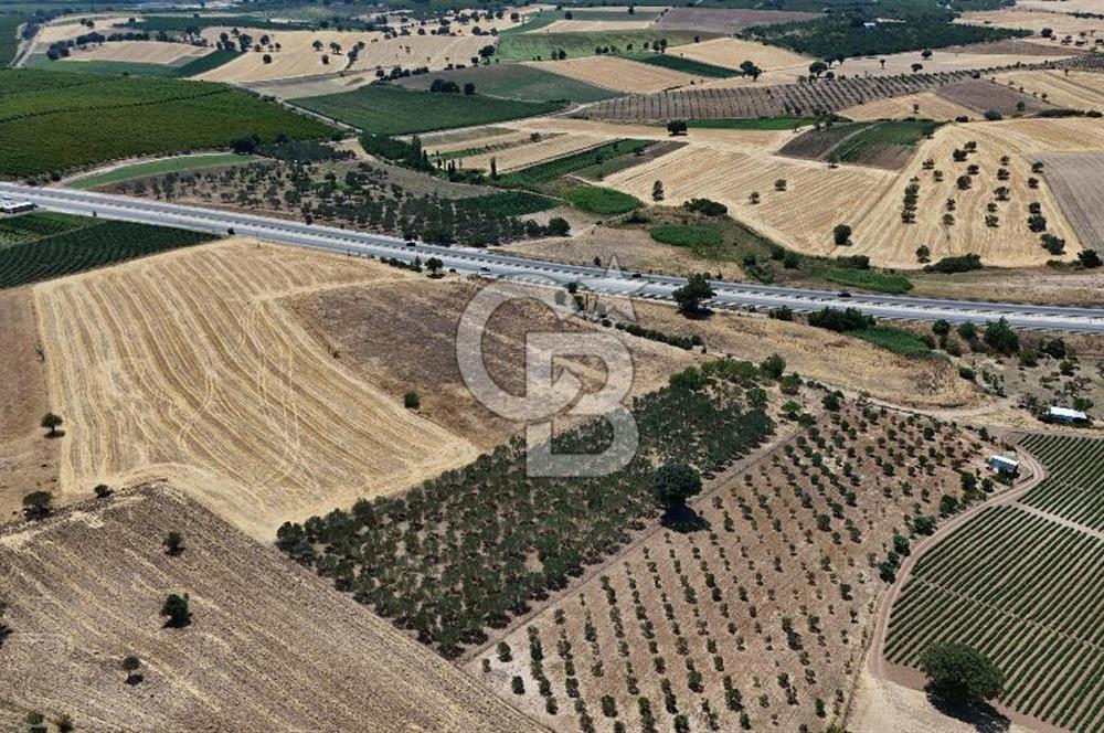 ÇANAKKALE AKÇAPINAR İZMİR ASFALTINA CEPHELİ SATILIK ZEYTİNLİK!