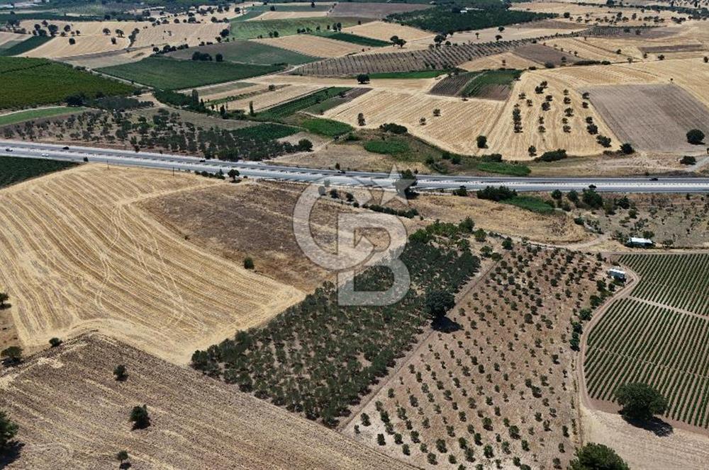 ÇANAKKALE AKÇAPINAR İZMİR ASFALTINA CEPHELİ SATILIK ZEYTİNLİK!