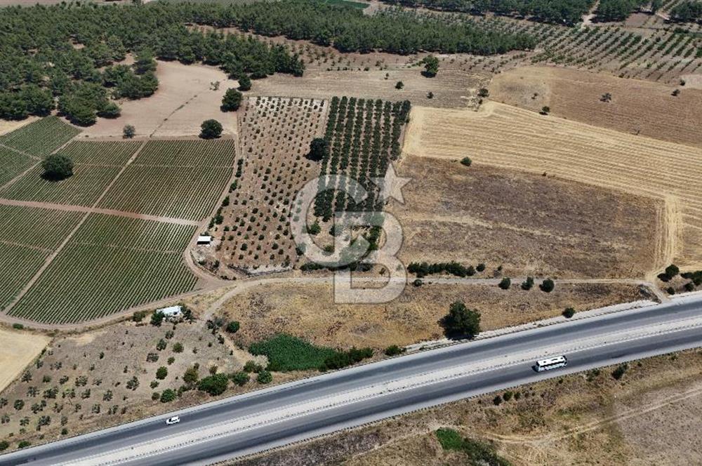 ÇANAKKALE AKÇAPINAR İZMİR ASFALTINA CEPHELİ SATILIK ZEYTİNLİK!