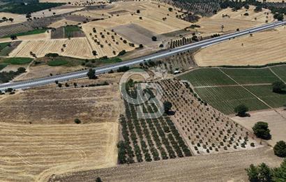 ÇANAKKALE AKÇAPINAR İZMİR ASFALTINA CEPHELİ SATILIK ZEYTİNLİK!