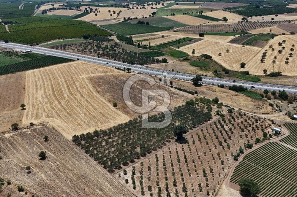 ÇANAKKALE AKÇAPINAR İZMİR ASFALTINA CEPHELİ SATILIK ZEYTİNLİK!