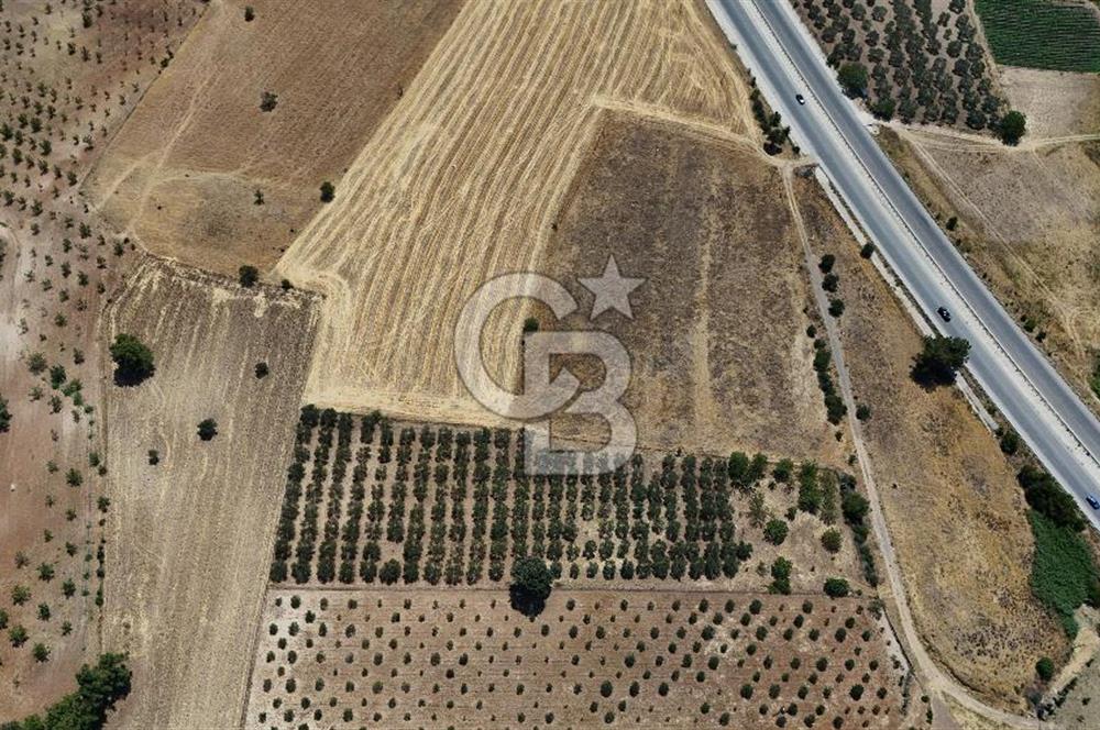 ÇANAKKALE AKÇAPINAR İZMİR ASFALTINA CEPHELİ SATILIK ZEYTİNLİK!