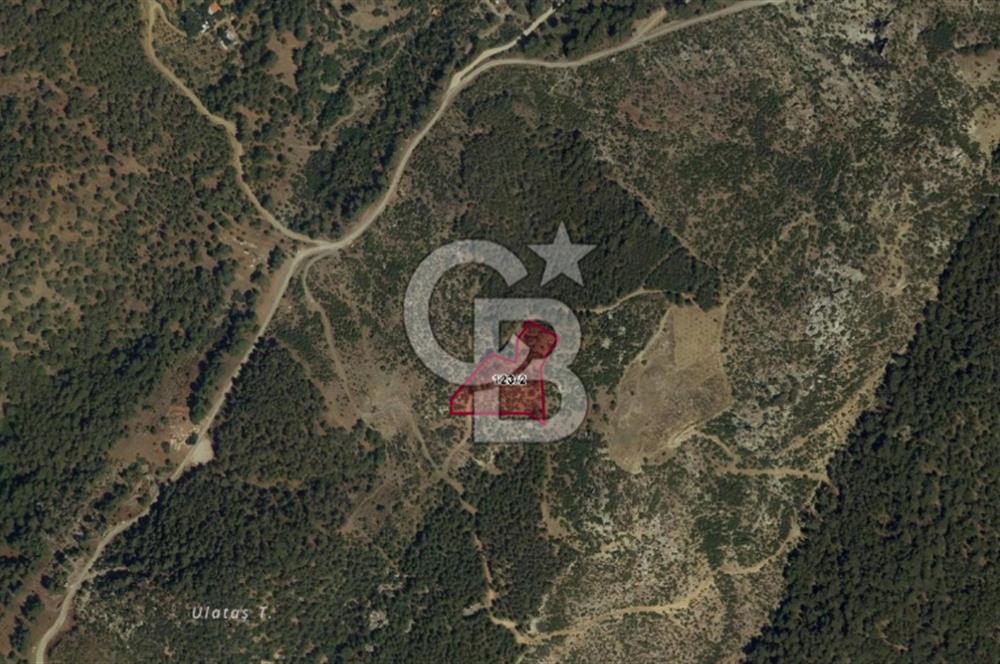 MUĞLA KÖYCEĞİZ AKKÖPRÜ SATILIK ARSA 7012M2/333M2