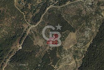 MUĞLA KÖYCEĞİZ AKKÖPRÜ SATILIK ARSA 7012M2/333M2