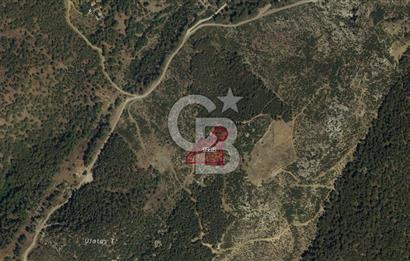 MUĞLA KÖYCEĞİZ AKKÖPRÜ SATILIK ARSA 7012M2/333M2