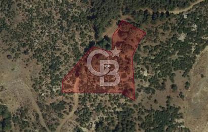 MUĞLA KÖYCEĞİZ AKKÖPRÜ SATILIK ARSA 7012M2/333M2