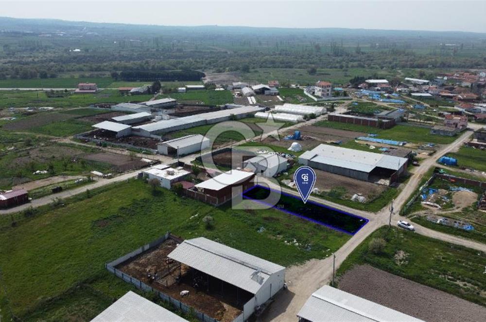 CB KiNG'DEN KEPSUT MAHMUDİYEDE 700 M² SATILIK KÖŞE PARSEL ARSA