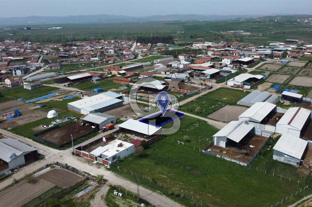 CB KiNG'DEN KEPSUT MAHMUDİYEDE 700 M² SATILIK KÖŞE PARSEL ARSA